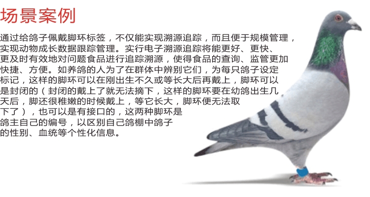 RFID動物標(biāo)簽1.jpg
